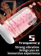Load image into Gallery viewer, Suction Masturbator Ball Bearing UV Disinfection Heating Base for Small Penis